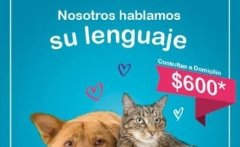 CaT DoGmania veterinaria