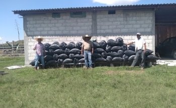 Rumiante Veterinary
