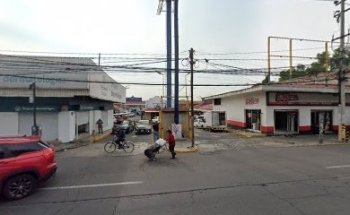 MUNDO ANIMAL