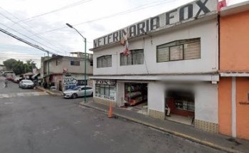 VETERINARIA FOX