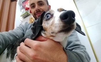 VETERINARIA TU-CAN