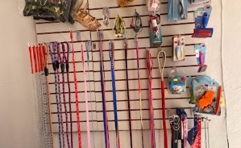 CAT&DOG Veterinaria