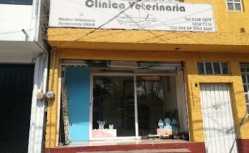 Consultorio veterinario El Perro Verde