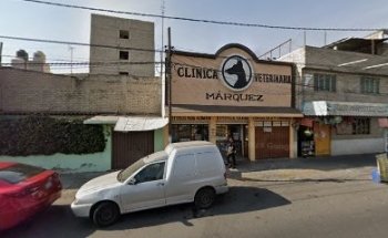 Veterinaria
