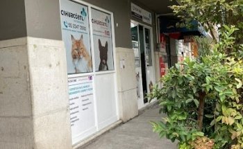 Cihuacoatl Vertiz