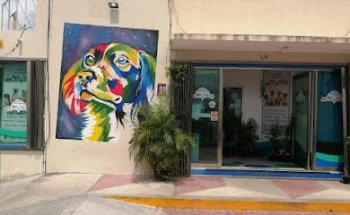 Pet Vet Clinica Veterinaria