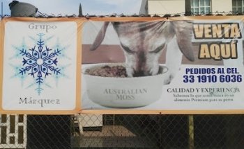 Veterinaria Vargas