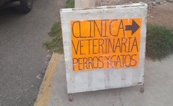 Clínica para perros y gatos