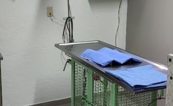 Central Vet
