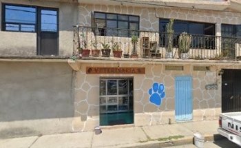 Veterinaria Blue