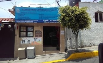 Consultorio Veterinario