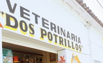 Veterinaria dos potrillos