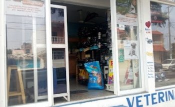 Veterinaria 77