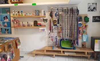 Pet Buffet