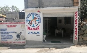 Veterinaria