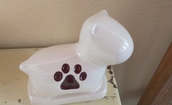 VETERINARIA ESTETICA CANINA canhome