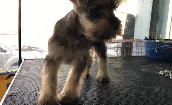 VETERINARIA GARCIA
