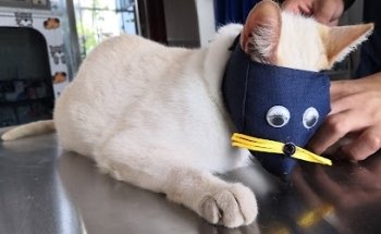 La Vet Veterinaria