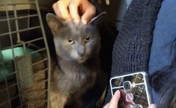 VETERINARIA ZOOCAN