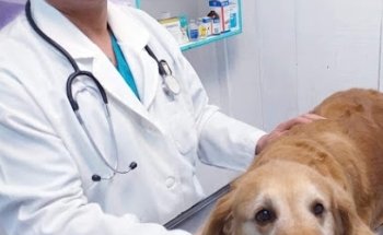 Veterinaria Knijitos