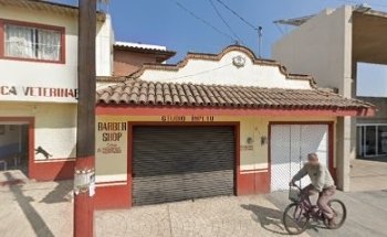 Veterinaria (Cirugía y estética) M. V. Z. Sandra Luna