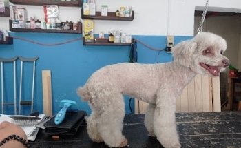 Veterinaria R.W.