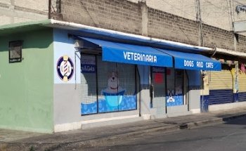 CONSULTORIO VETERINARIO Dogs and Cats