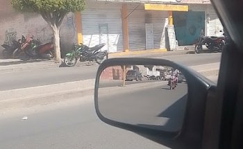 Veterinaria La Esquina
