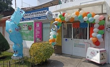 ANIMAL REHAB