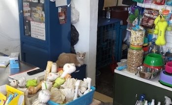 VETERINARIA DR.PETS