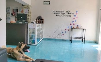 VETERINARIA MEDICAN