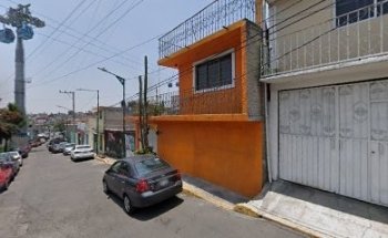 Estetica canina