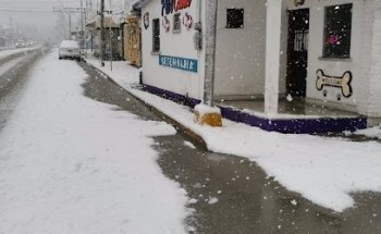 Pet's Clinic
