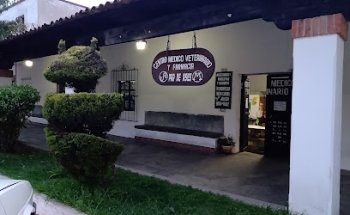 Veterinaria Neverland