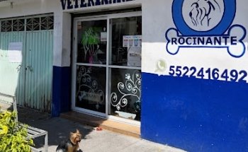 Veterinaria y estetica canina