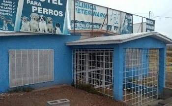 Veterinaria y