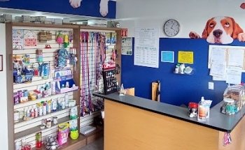 Veterinary Clinic Animalae
