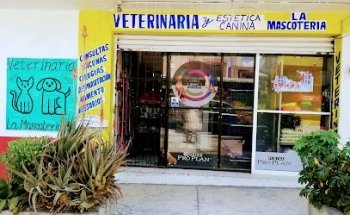 Veterinaria