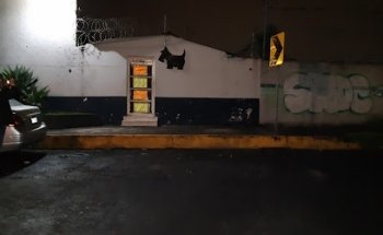 VETERINARIO