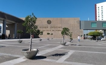 Zoomania veterinaria.