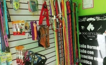 Veterinaria Dog Styling