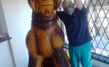AMBIENTE CANINO