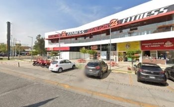 Buddypet Valdepeñas