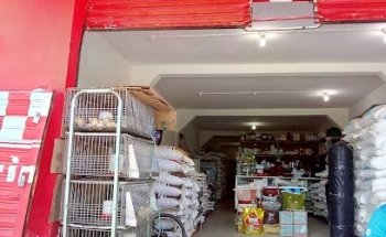 Distribuidora PURINA