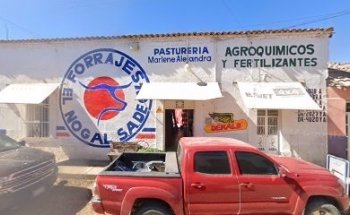 VETERINARIA DUEÑAS