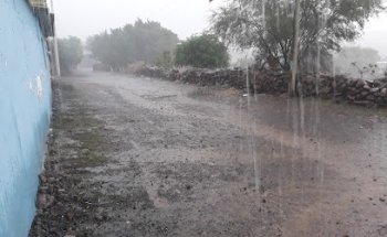 Veterinaria Martinez