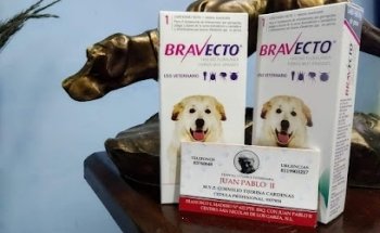 Veterinaria Juan Pablo II