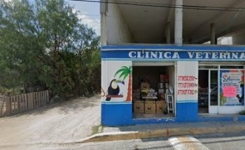 Veterinari