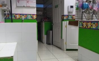 Canixta veterinaria