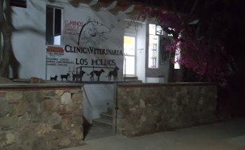 Los Molinos Clinica Veterinaria